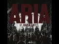 Download Lagu ARIA DISTAN (RAYEN EDIT)