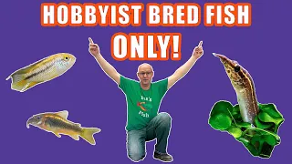 Download Our LATEST and GREATEST HOBBYIST BRED fish! MP3