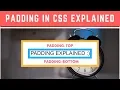 Programming Tip Of The Day Padding in CSS Hindi CSS Padding Explained HTML Padding Hindi