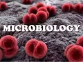 Chapter 4 Microbiology