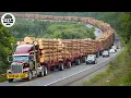 Download Lagu Extreme Dangerous Big Logging Wood Truck Driving Skill | Fastest Chainsaw Cutting Tree Machines #29
