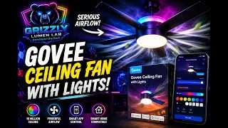 This Smart Ceiling Fan BLEW Me Away Govee Ceiling Fan With Lights