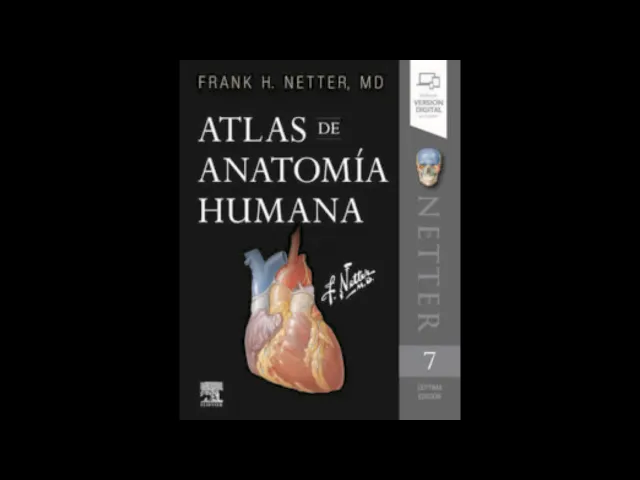 Download MP3 Descargar Netter Atlas de Anatomía Humana. (7° Ed) PDF gratis online (REVISAR DESCRIPCIÓN)