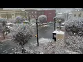 Snow in downtown Dec 8 2017