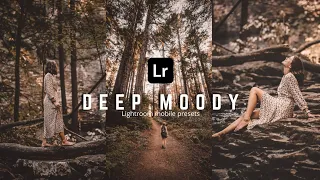 how to edit deep moody preset on lightroom free lightroom presets moodygram
