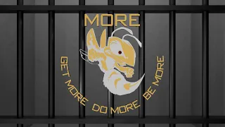 From Inmate to Employee The M O R E Program