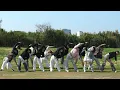 しなこちゃんレベル３０🎂💜 おめでとう♬みんなで腰痛体操(dance circle nonstopbombers)