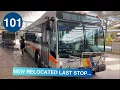 Riding Broward County Transit Bus 101 Broward Central Terminal to Gulfstream Park Gillig BRT 40