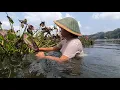 Download Lagu Survival and cooking !! Mengolah Pisang bakar dan tumis enceng gondok di hutan