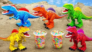 T-Rex Dinosour Family's Journey - Animal Toy for kids | ToyTV khủng long
