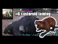 Argentavis saddle crafted and casteroid taming