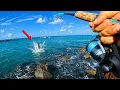 Fishing Venice Jetty For Non-Stop Action