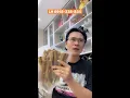 Download Lagu LÊ MINH CHUYÊN T.ẤN CÔNG PHỤ NỮ