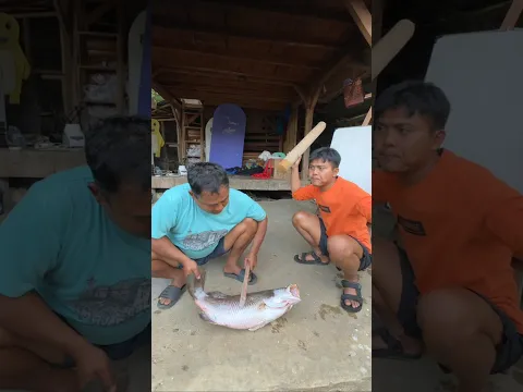 SALAH PUKUL
