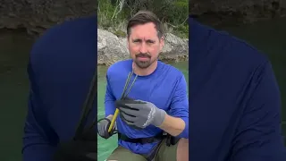 Eating LionFish:  Episode 37 is Available Now! #shorts #sailingbyefelicia