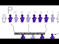 Understanding Sexual Deviant Personality Traits Gurru Says Insights