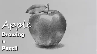 How to Draw An Apple in Pencil step by step how to use pencil strokes