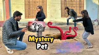 Konsa Pet Wapis Araha Hai? 🤔