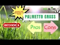 Reasons To Pick Palmetto Grass Pros And Cons