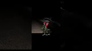 اني بالدنيا وحيدك اغاني عراقية بدون موسيقى دعوه امي اغاني حب تيك توك اغاني حب ترند لايك 