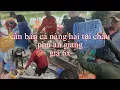 Thu hoạch ao cá nàng hai ở châu phú an giang giá 6x