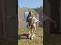 CENTAUR at Ren Faire Centaur Cosplay