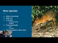 Processing Intro - Lesson 10 Classes and Object Oriented Programming