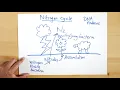 Nitrogen Cycle simplified