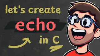 Create a basic echo command in C using system calls
