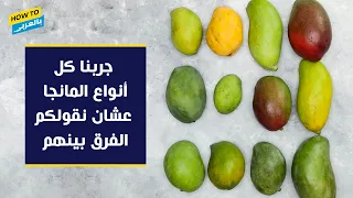 جربنا كل أنواع المانجا عشان نقولكم الفرق بينهم 