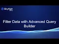 Advanced Query Builder Skyhigh DSPM