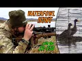 Lagu Hunting Ducks \u0026 Geese with the BLITZING fast .22-250 Remington!