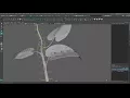Plant Rig Demo