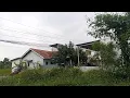 Download Lagu Pemandangan di depan rumah di sebuah desa Melihat sawah hijau dan jalan raya yang ramai