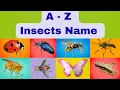 A to Z Insects names All Kinds of bugs Learn ABCD Insects names Kids Learning Pre School