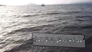 وتنهال كل همومي علي حالات وتس اب حزينه بدون موسيقى 