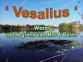 Download Lagu Vesalius - Wezel, tussen Mol en Balen