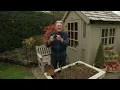 How to Transform Your Garden Into a Paradise for Birds!