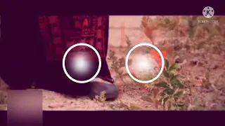 اعلان انا زهرة سارة ابو الحاج قريبا 2014 04 20 قناة جرو الفضائية 