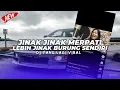 Download Lagu DJ JINAK JINAK MERPATI LEBIH JINAK BURUNG SENDIRI | DJ MASHUP FYP VIRAL