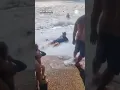 Giant Wave Wipes Out Man Down Under