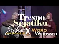 Download Lagu TRESNO SEJATIKU - SIHO FT @Woro.Widowati  (OFFICIAL MUSIC VIDEO)