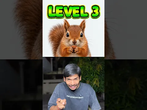 Find the Hidden Animal 🐿️ !Let's see how sharp your eyes are 🤯🧠 #shortsfeed