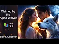 Download Lagu Claimed by the Alpha Wolves: A Paranormal Reverse Harem Romance | Full Story - Love \u0026 Dark Secrets
