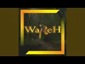 Download Lagu Wali
