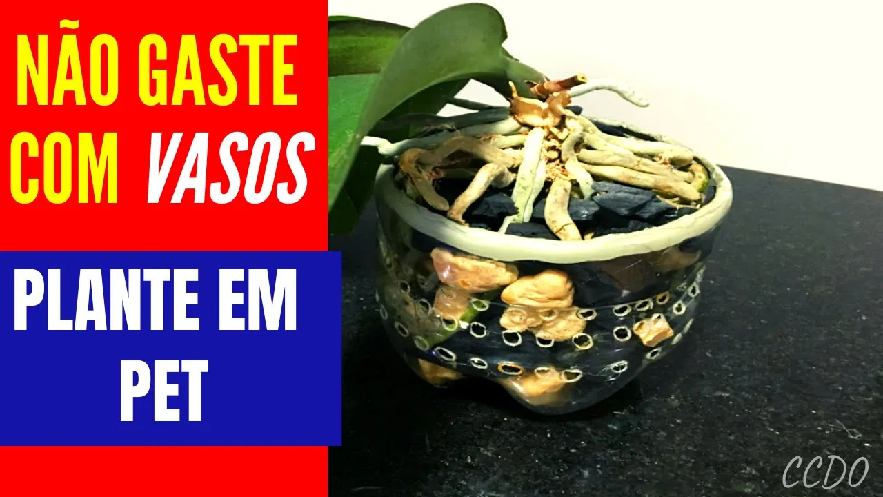 COMO PLANTAR ORQUÍDEAS EM GARRAFA PET