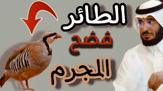 287 تخيل طائر يشهد على مجرم ويفضحه في مجلس الامير ويتم القصاص منه عجيب والله قصص رهيبه 