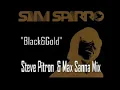 Sam Sparro "Black & Gold" (Steve Pitron & Max Sanna Mix)