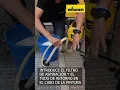 Puesta en marcha CONTROL PRO 250M WAGNER