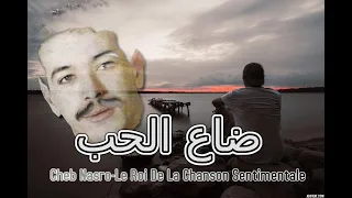                       الشاب نصرو ضاع الحب دندنها